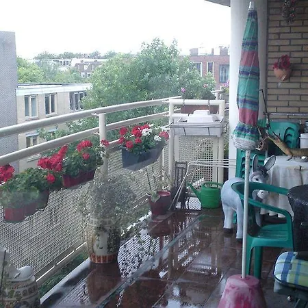 Apartmán Padlina's Bb *